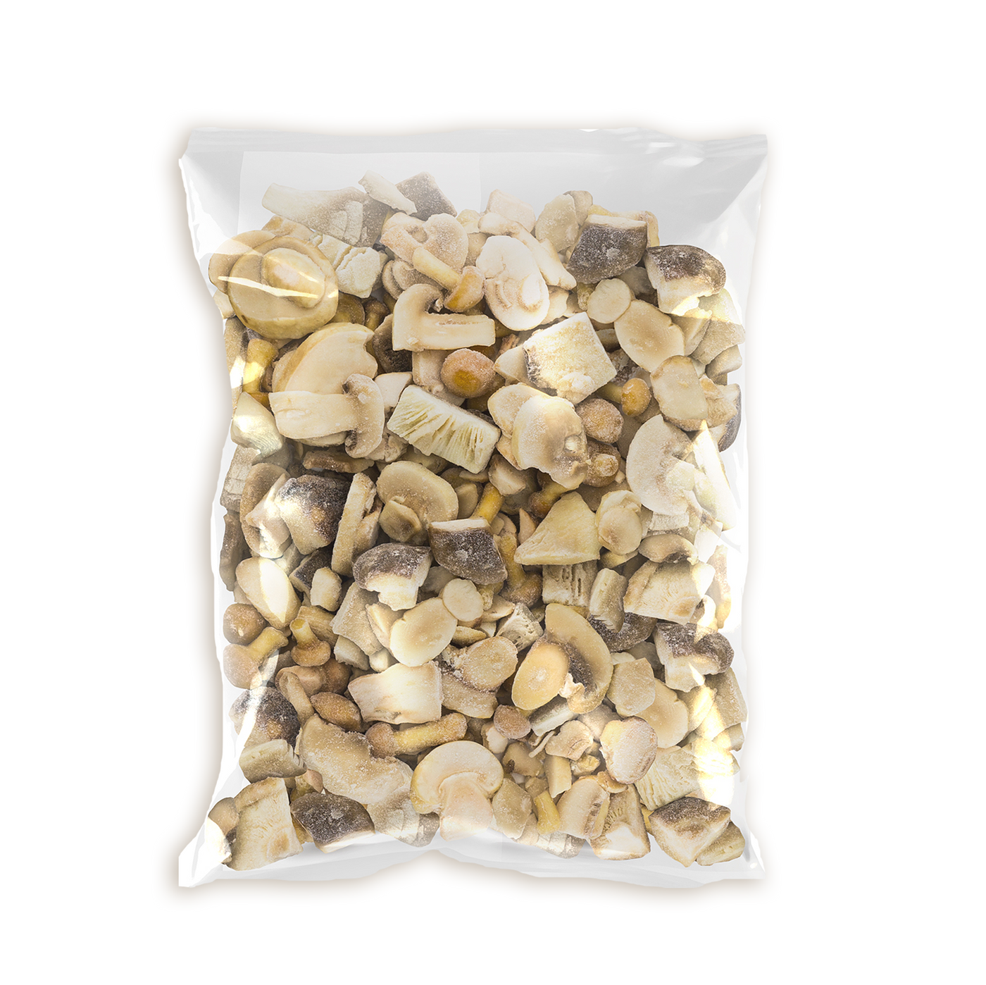 Misto di funghi porcini