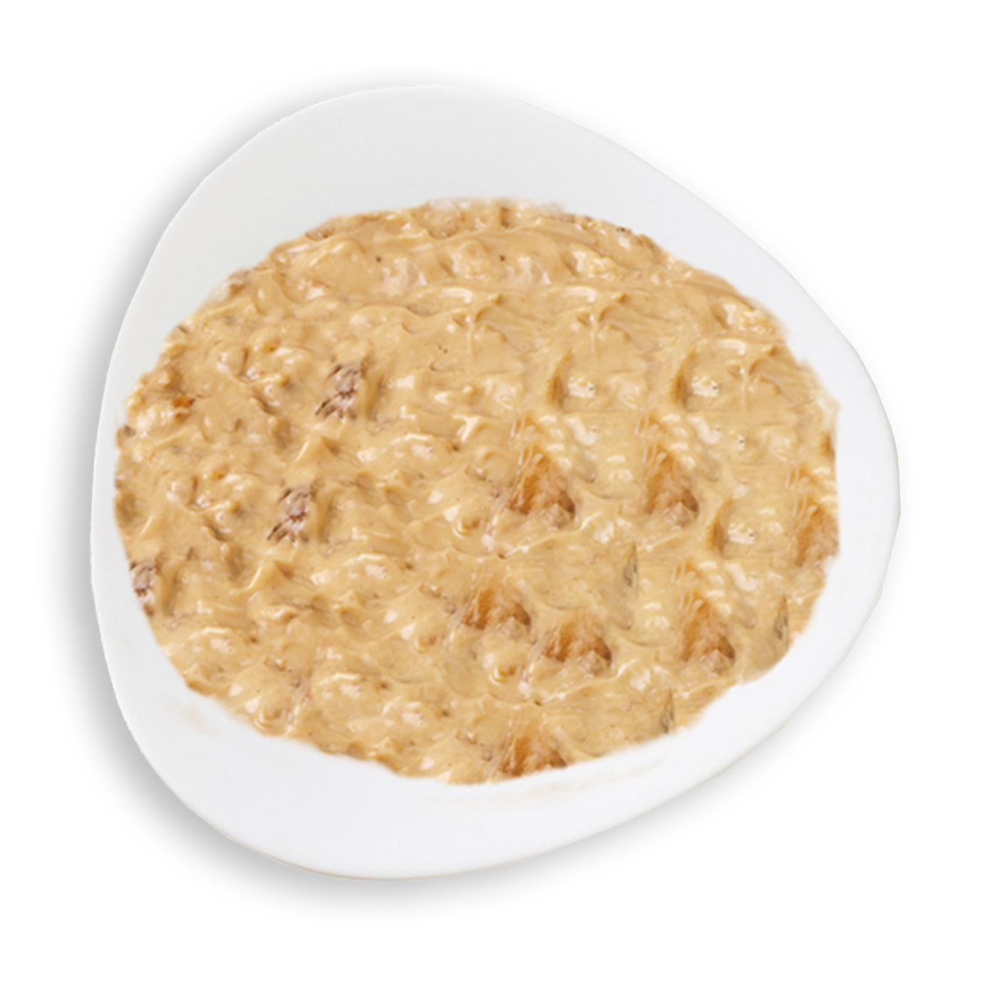 Crema de setas porcini