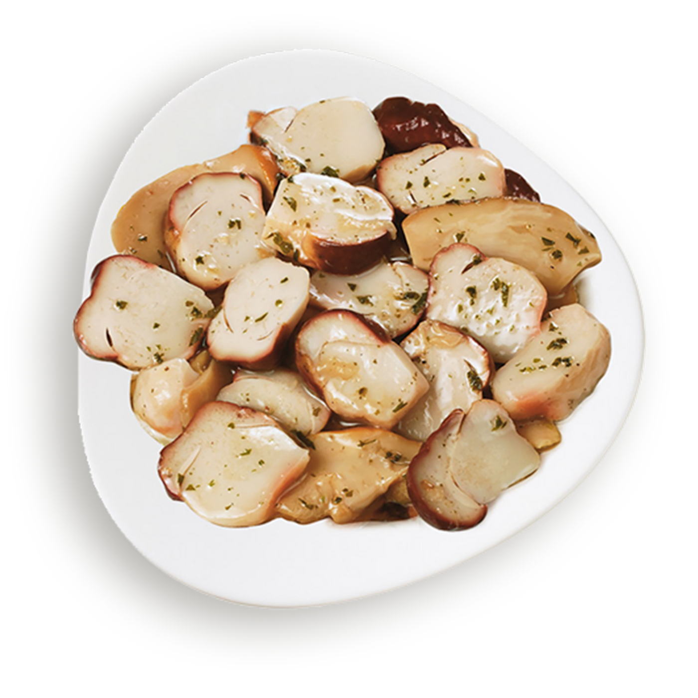 Setas porcini salteadas en aceite "maxi resa"