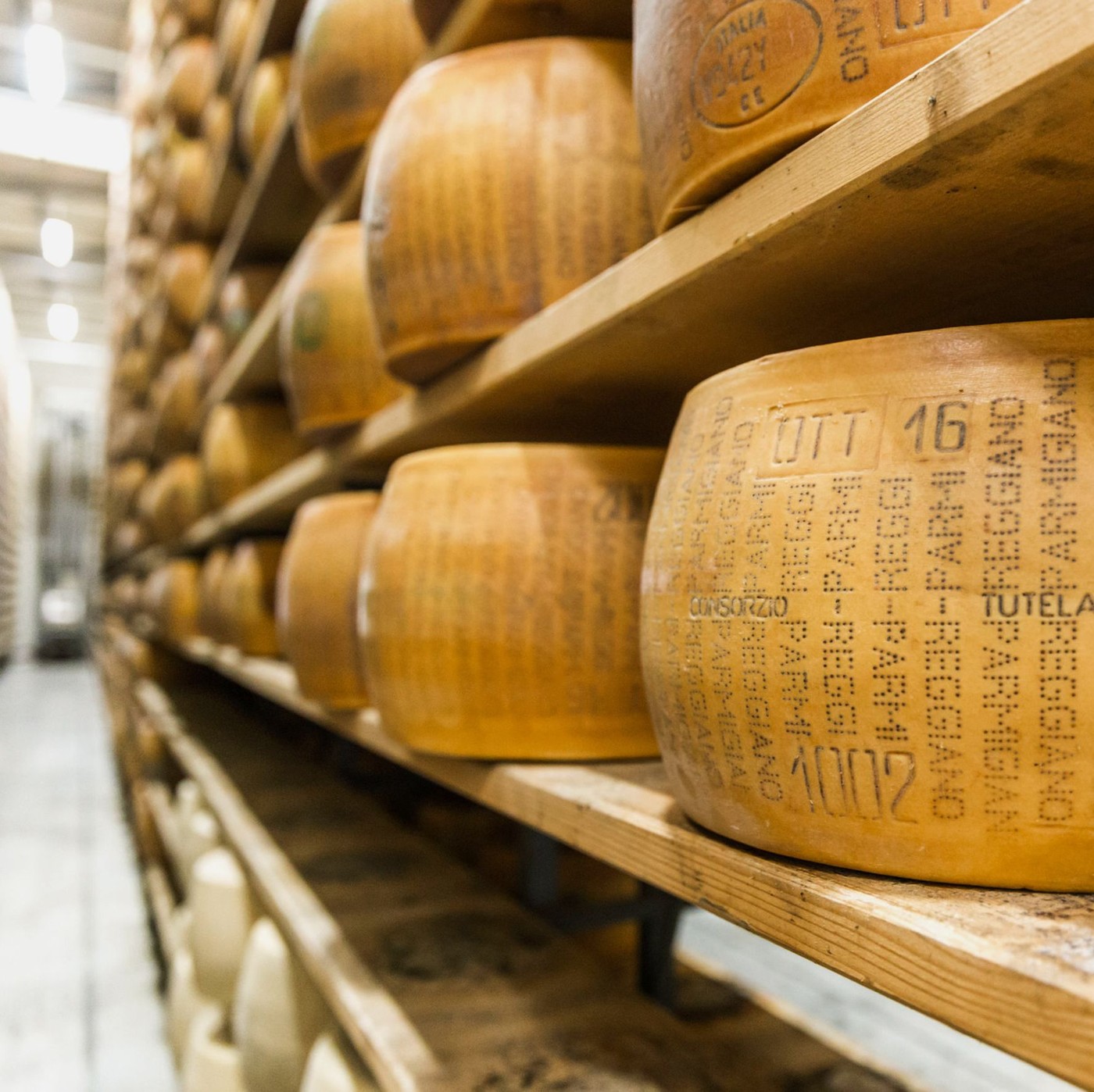 receta de Parmigiano reggiano forma entera 40/41 meses