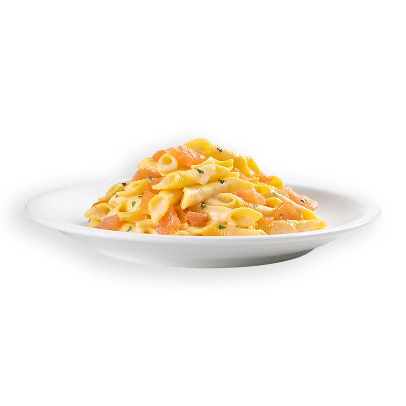 Garganelli al salmone