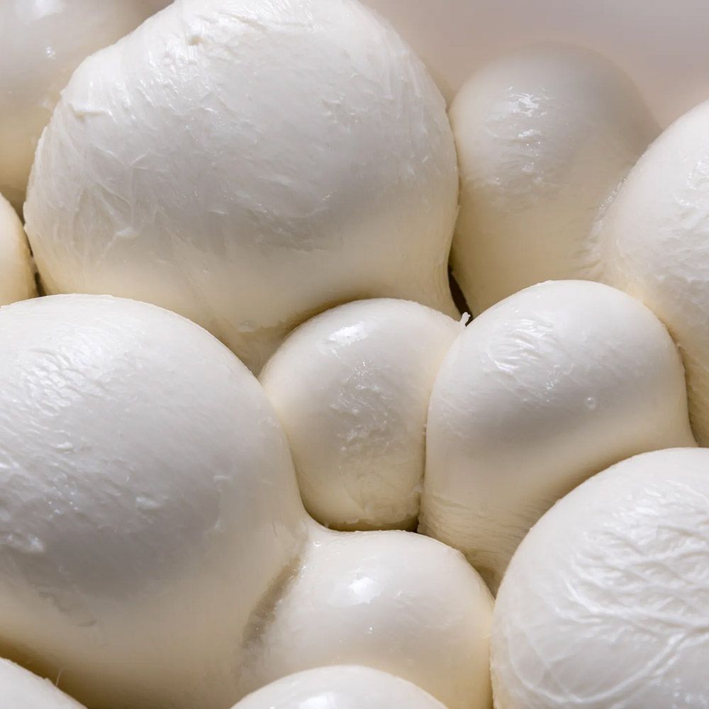 mozzrella-barlotti-gruppo.jpg